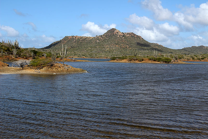 Washington Slagbaai National Park