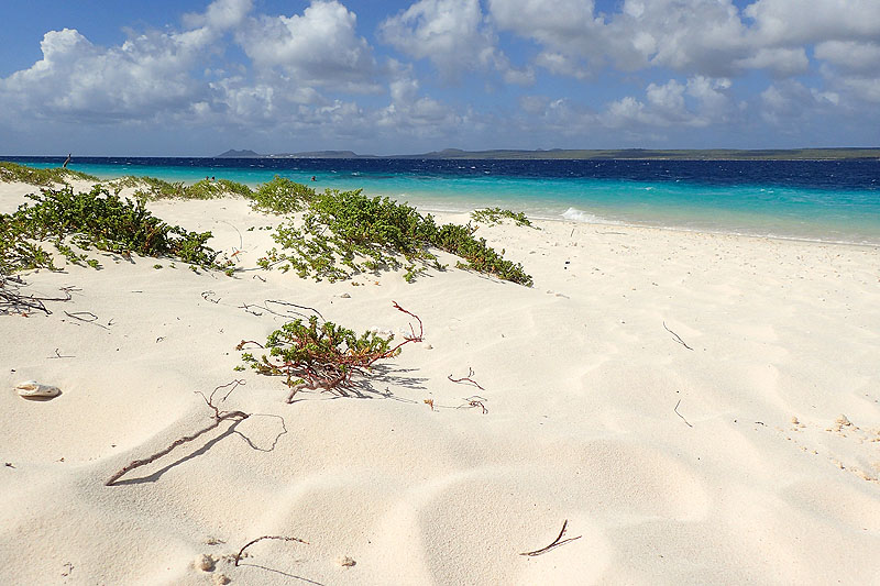 Klein Bonaire