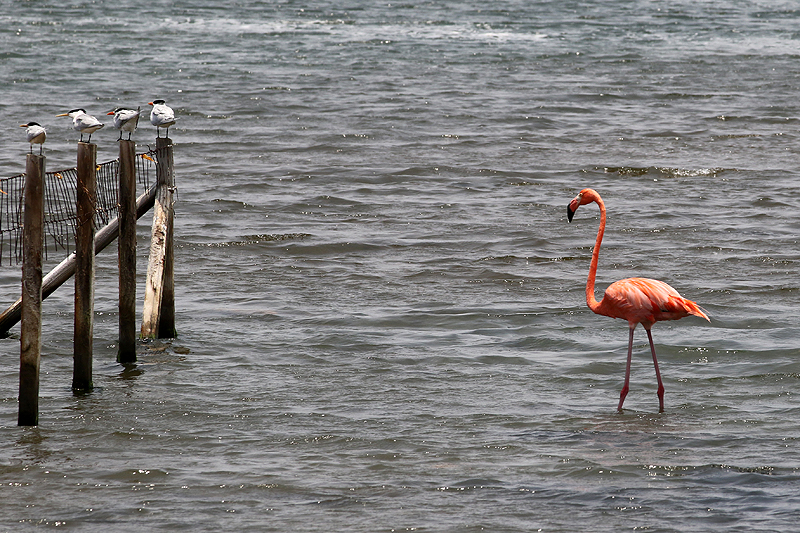 Washington Slagbaai National Park