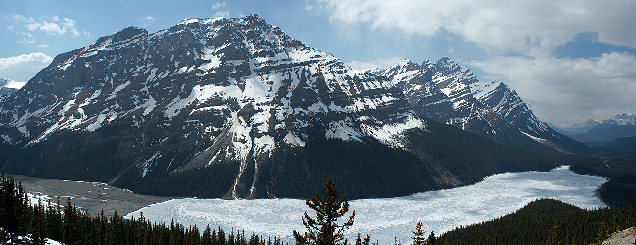 Photo panoramique du lac Peyto (Banff)