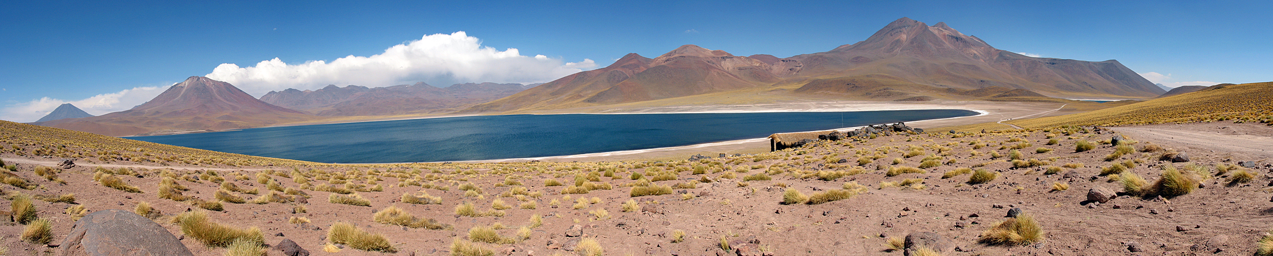 Photo panoramique de la laguna Miscanti