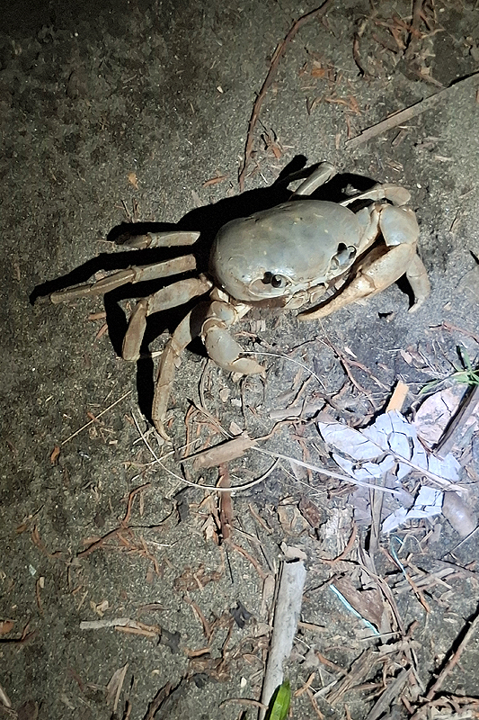 Réserve de Pacuare