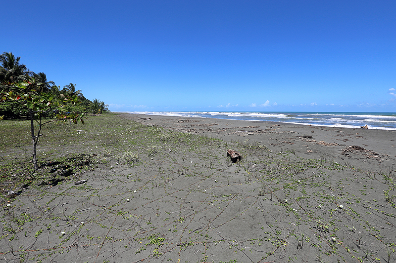 Réserve de Pacuare