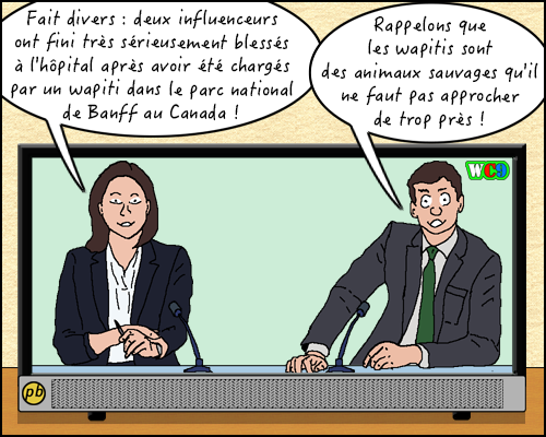 BD influenceurs dans les Rocheuses Canadiennes - 3