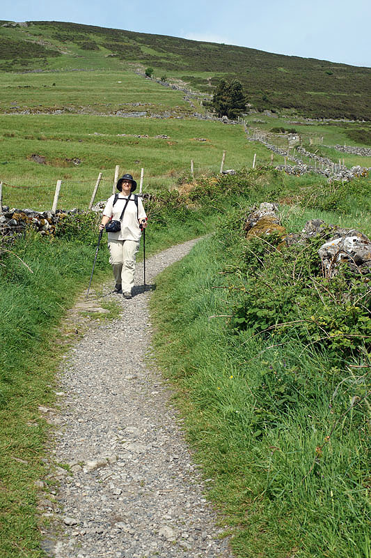 Comté de Sligo