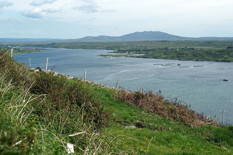 Connemara
