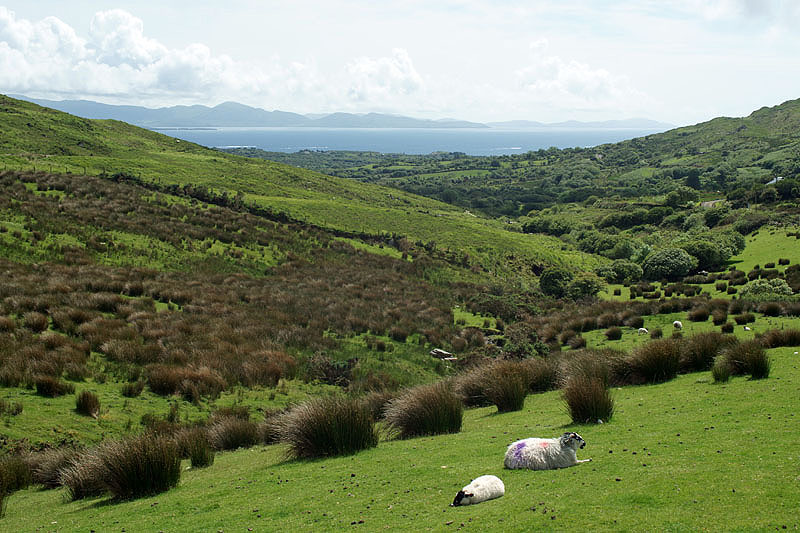 Comté du Kerry