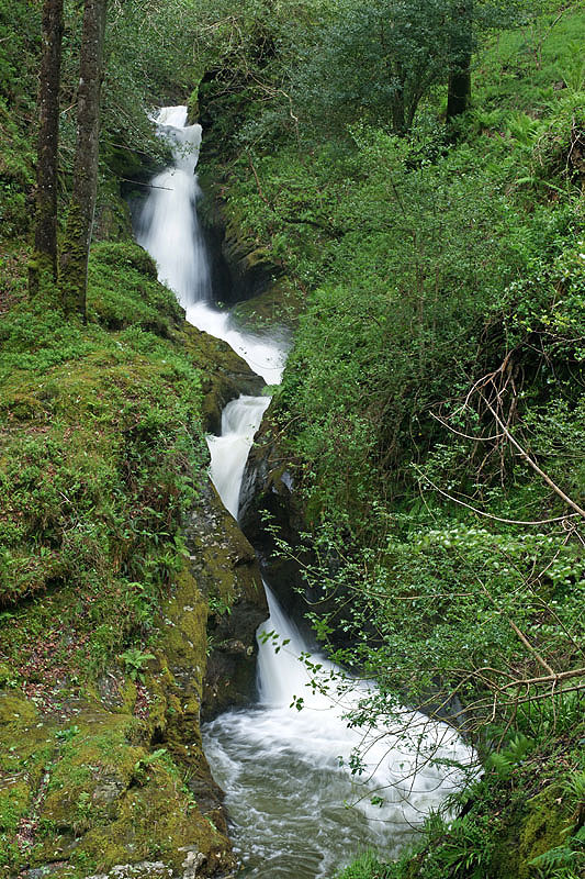 Montagnes de Wicklow