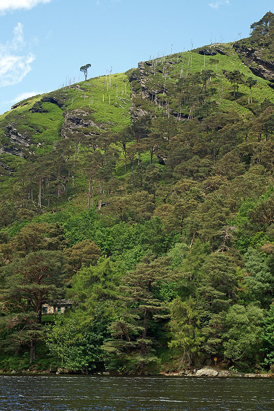 Montagnes de Wicklow