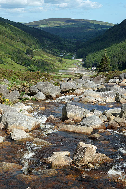 Montagnes de Wicklow