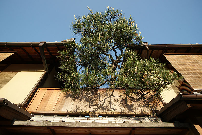 Kyōto - Quartier de Gion