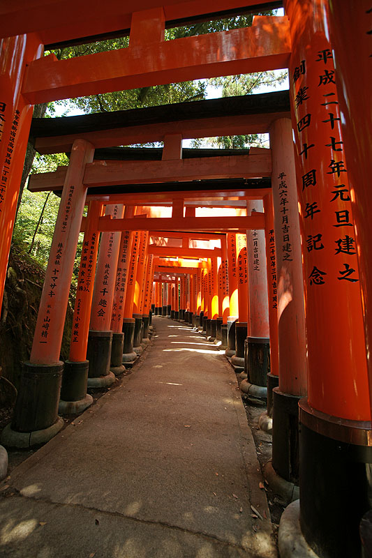 Kyōto - Sanctuaire de [q]Fushimi Inari taisha[q]