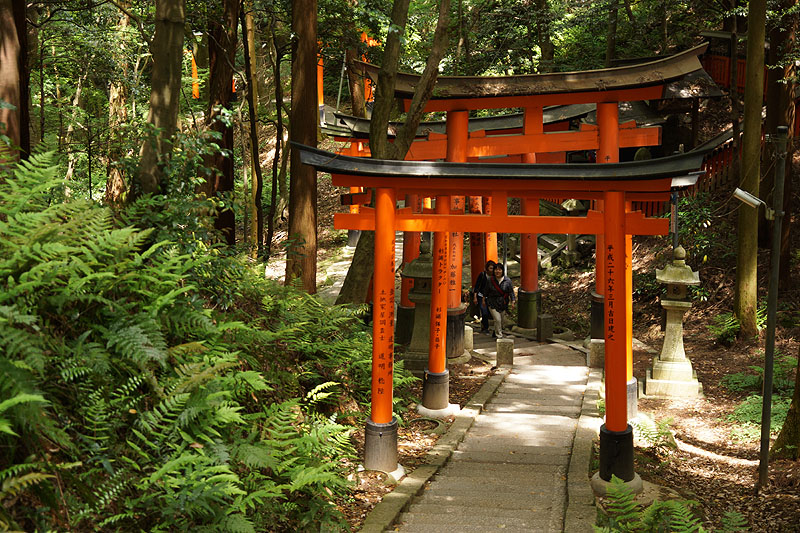 Kyōto - Sanctuaire de [q]Fushimi Inari taisha[q]