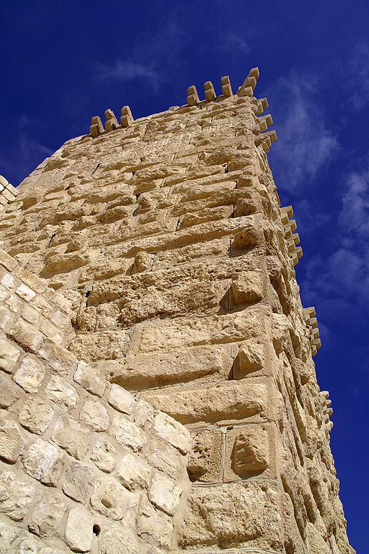 Château de Shobak