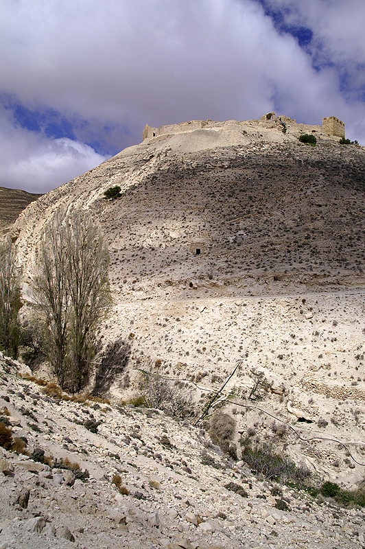 Château de Shobak