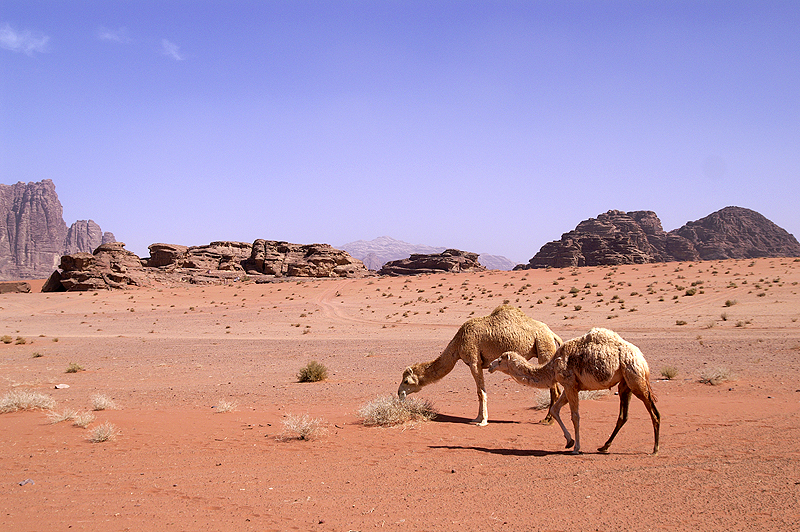 Wadi Rum