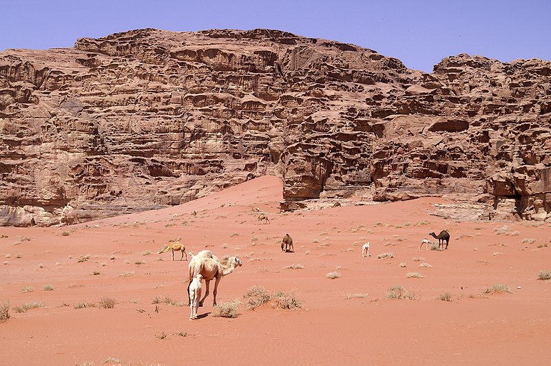 Wadi Rum