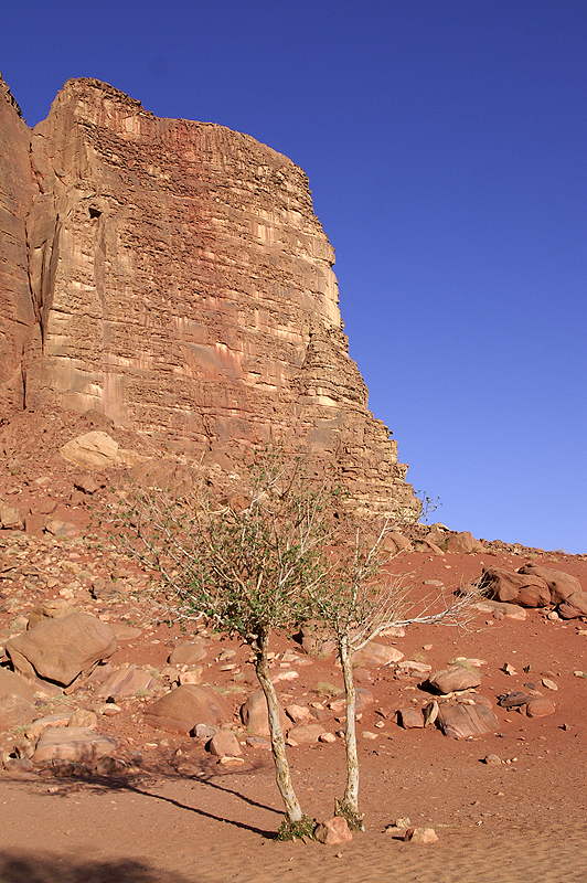 Wadi Rum