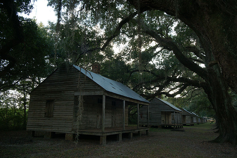 [q]Evergreen plantation[q]