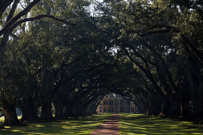 [q]Oak Alley Plantation[q]