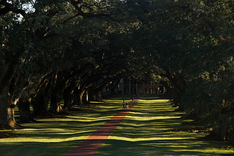 [q]Oak Alley Plantation[q]