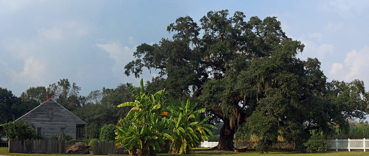 LOUISIANE - photo panoramique de [q]Evergreen Plantation[q]
