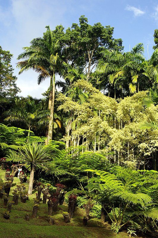 Jardins de Balata