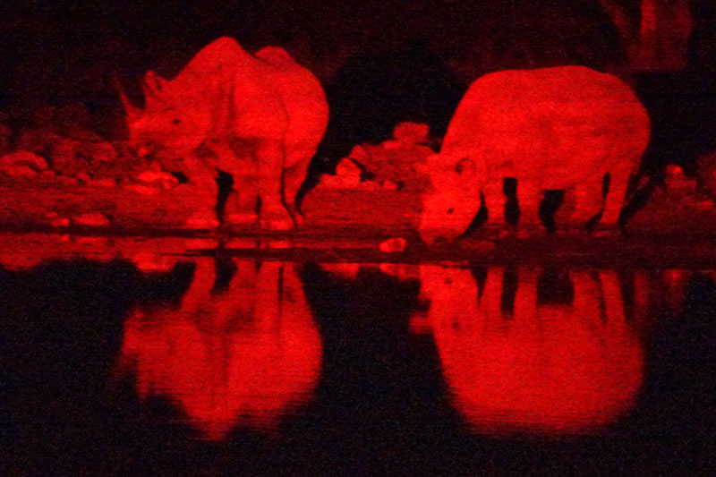 Etosha - Environs de Namutoni