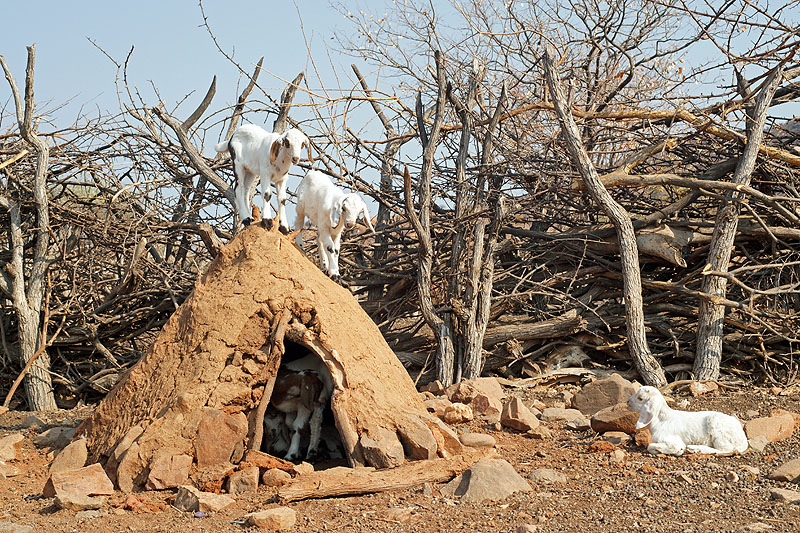 Epupa - village Himba