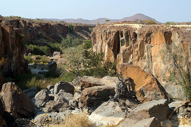 Environs de Palmwag - Damaraland