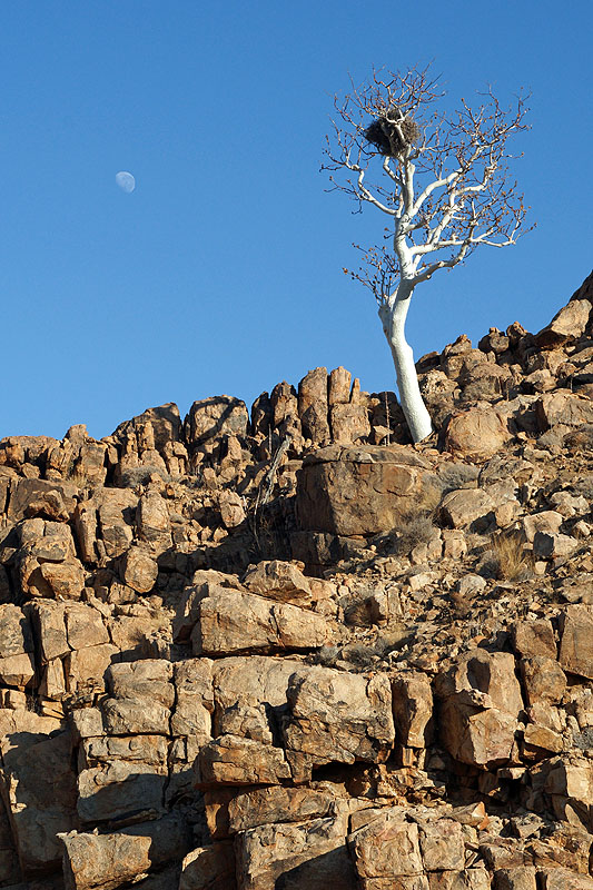 Twyfelfontein