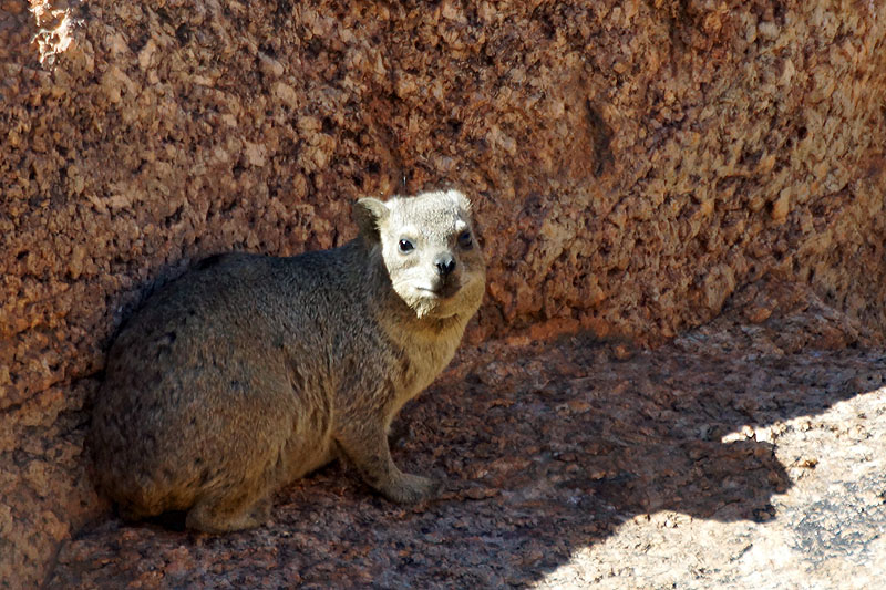 [q]Spitzkoppe[q]