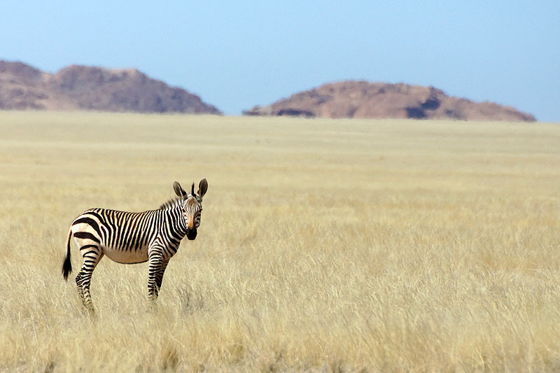 Namib Naukluft Park