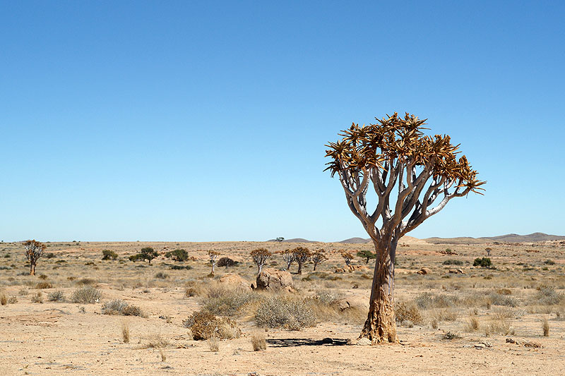 Namib Naukluft Park