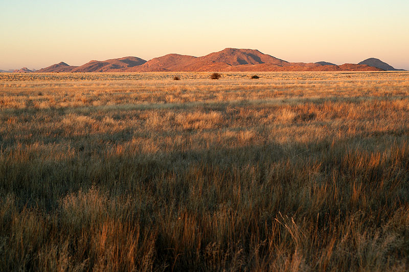 Namib Naukluft Park