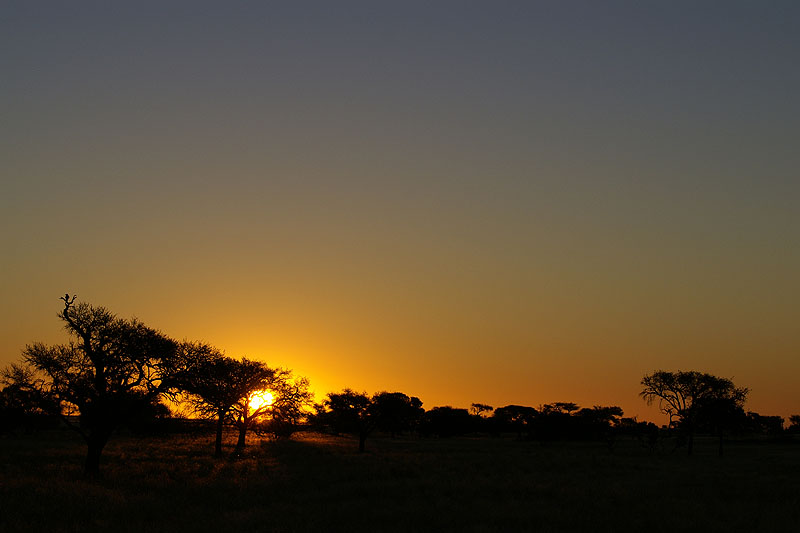 Namib Naukluft Park