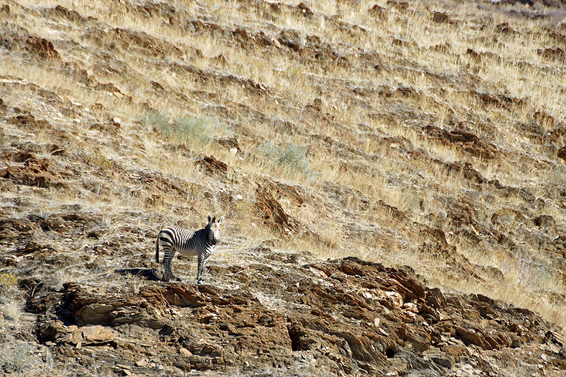 Namib Naukluft Park