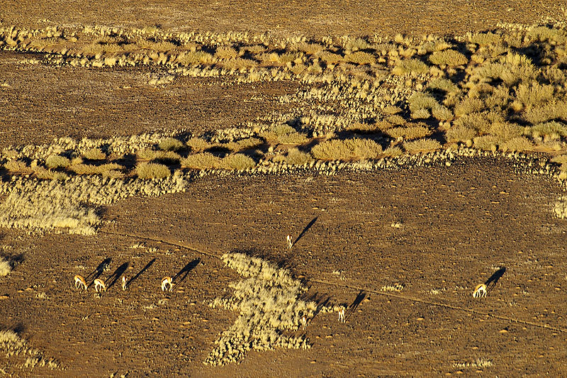 Sesriem - Sossusvlei
