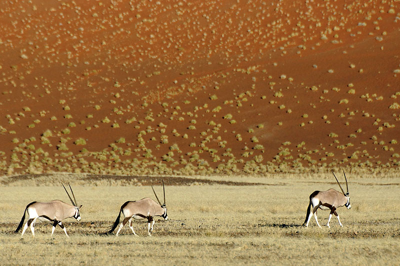 Sesriem - Sossusvlei