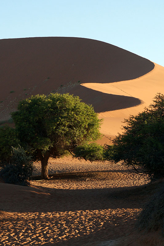 Sesriem - Sossusvlei
