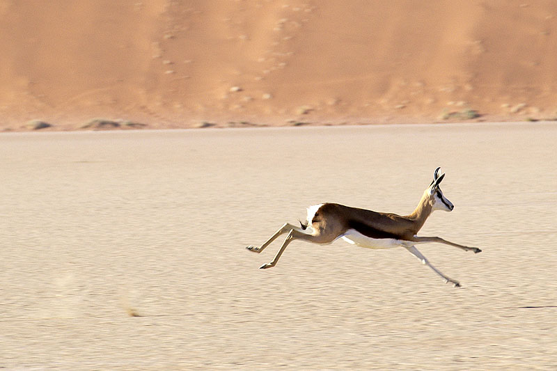 Sesriem - Sossusvlei