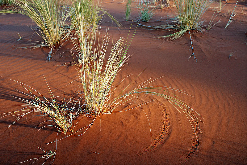 Sesriem - Sossusvlei