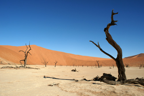 Photo Namibie