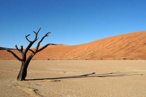 Photo Namibie