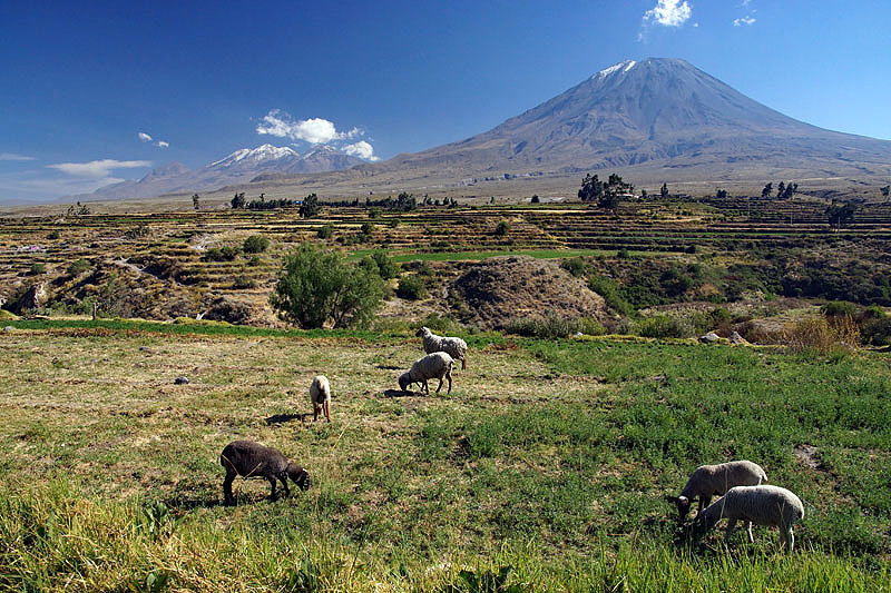 Réserve [q]Salinas y Aguada Blanca[q]