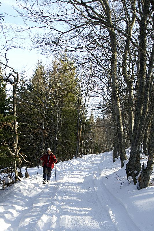 Ariège en raquette - Près du col du Chioula