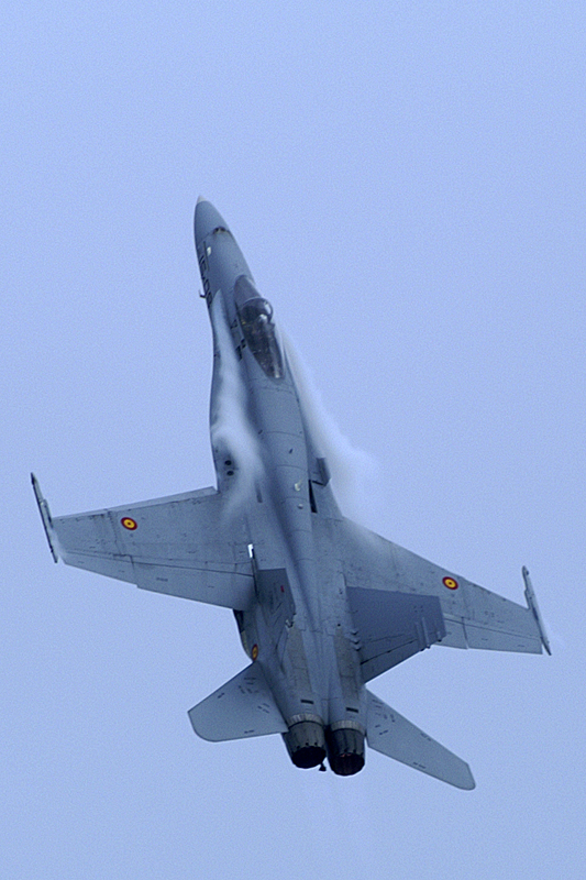 Air Expo - F18 Hornet[br]de l armée de l air espagnole