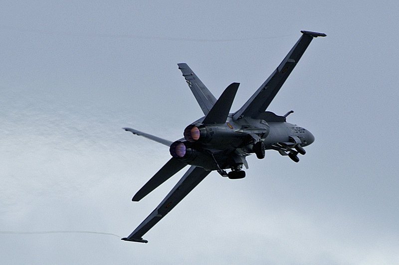 Air Expo - F18 Hornet[br]de l armée de l air espagnole