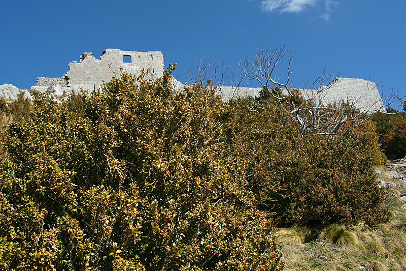 Châteaux Cathares - Château de Montségur