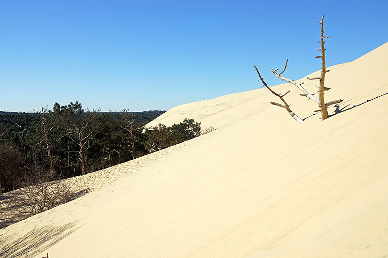 Arcachon - Ascension de la Dune du Pilat